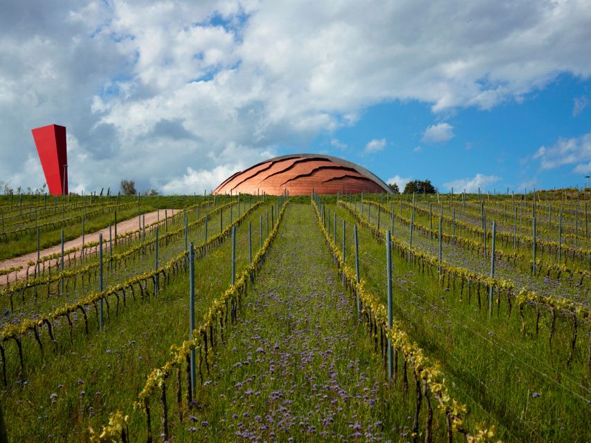 Tenute _Lunelli_Carapace_Montefalco_Sagrantino_WBSS24_2